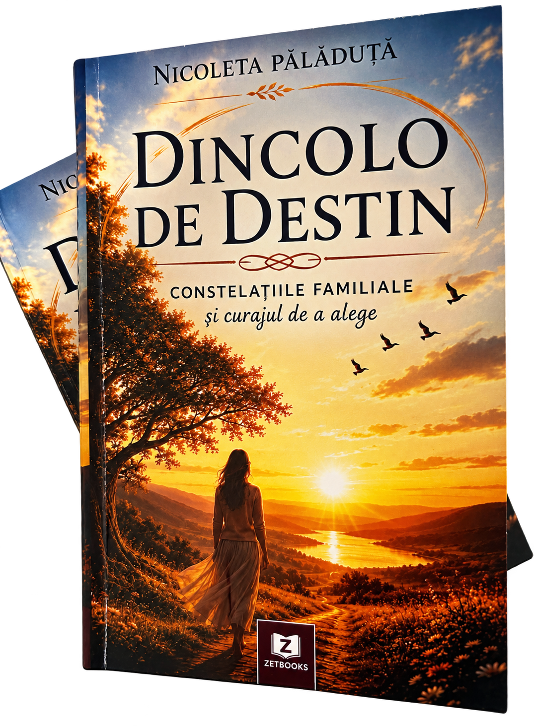 Coperta cărții Dincolo de destin, de Nicoleta Pălăduță